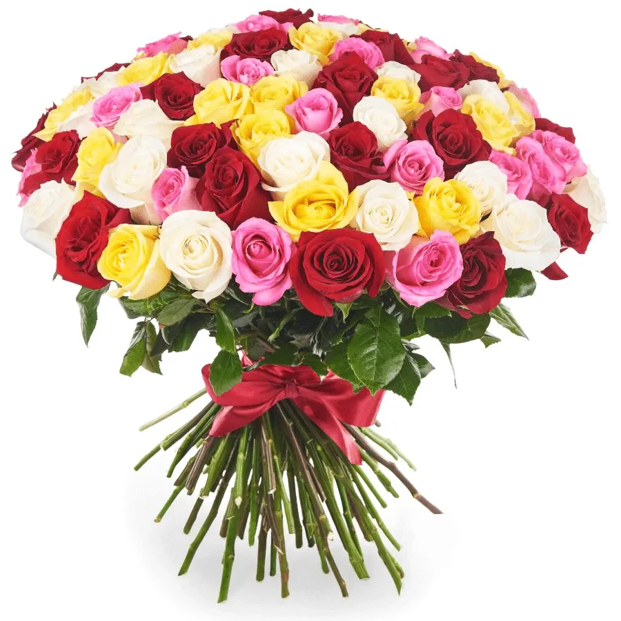 Розы Эквадор микс