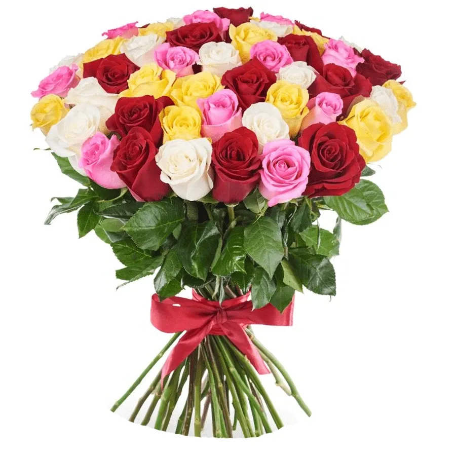 Розы Голландия микс